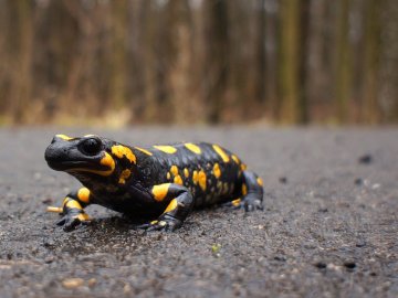 Expo interactive à l'ALphaB