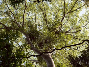 Expo interactive à l'ALphaB