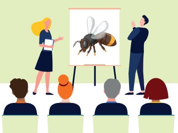 Réunion publique frelon