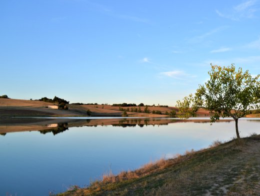 Balade
